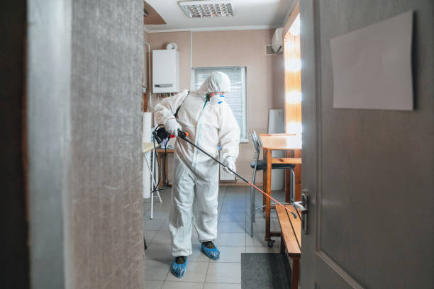 Reliable Dayton, TN Mold Removal Solutions